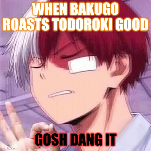 Todoroki | WHEN BAKUGO ROASTS TODOROKI GOOD; GOSH DANG IT | image tagged in todoroki | made w/ Imgflip meme maker