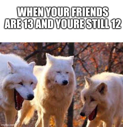 WHEN YOUR FRIENDS ARE 13 AND YOURE STILL 12 | image tagged in blank white template | made w/ Imgflip meme maker