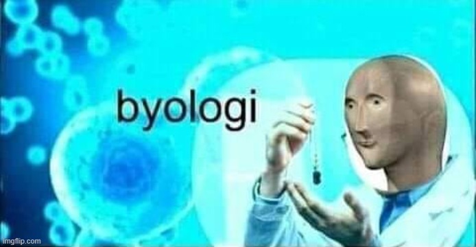 Meme man byologi | image tagged in meme man byologi | made w/ Imgflip meme maker