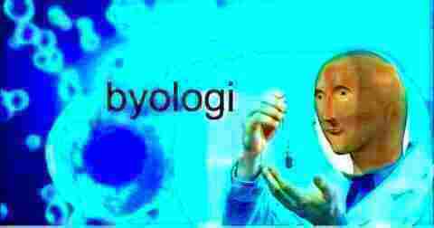 High Quality Meme man byologi deep-fried Blank Meme Template