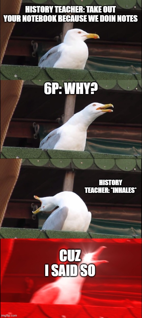 Inhaling Seagull Meme | HISTORY TEACHER: TAKE OUT YOUR NOTEBOOK BECAUSE WE DOIN NOTES; 6P: WHY? HISTORY TEACHER: *INHALES*; CUZ I SAID SO | image tagged in memes,inhaling seagull | made w/ Imgflip meme maker