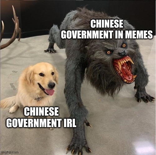 Chinese Government | CHINESE GOVERNMENT IN MEMES; CHINESE GOVERNMENT IRL | image tagged in dog vs werewolf | made w/ Imgflip meme maker