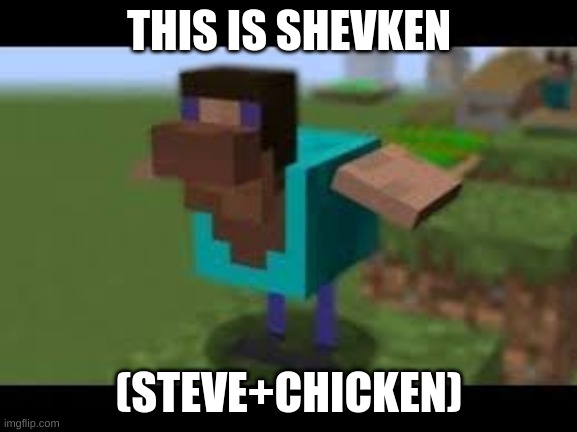 Shevken | THIS IS SHEVKEN; (STEVE+CHICKEN) | image tagged in minecraft steve,chicken | made w/ Imgflip meme maker