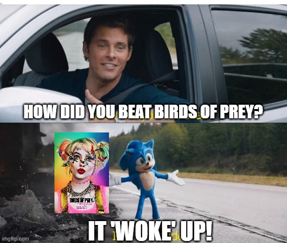 sonic how are you not dead | HOW DID YOU BEAT BIRDS OF PREY? IT 'WOKE' UP! | image tagged in sonic how are you not dead | made w/ Imgflip meme maker