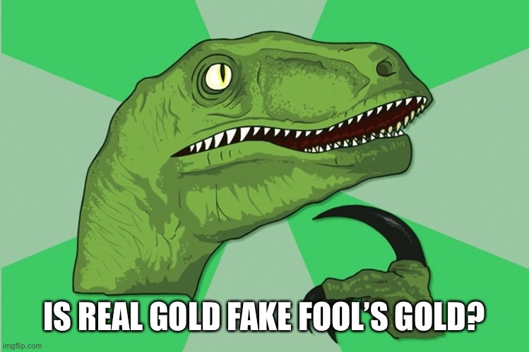 new philosoraptor | IS REAL GOLD FAKE FOOL’S GOLD? | image tagged in new philosoraptor | made w/ Imgflip meme maker