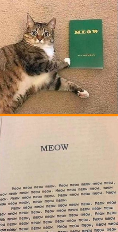 . | image tagged in cats | made w/ Imgflip meme maker