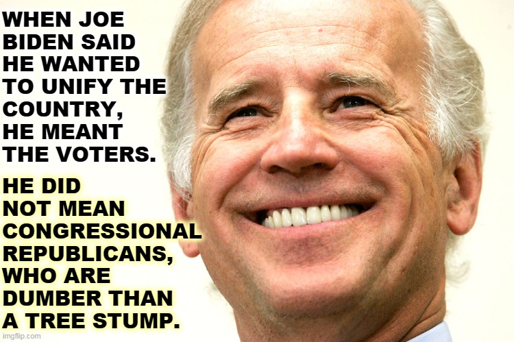 Republicans in Congress are hopelessly out of step with the country. Americans like Biden's programs. | WHEN JOE 
BIDEN SAID 
HE WANTED 
TO UNIFY THE 
COUNTRY, 
HE MEANT 
THE VOTERS. HE DID 
NOT MEAN 
CONGRESSIONAL 
REPUBLICANS, 
WHO ARE 
DUMBER THAN 
A TREE STUMP. | image tagged in joe biden smiling,popular,republicans,out of ideas | made w/ Imgflip meme maker