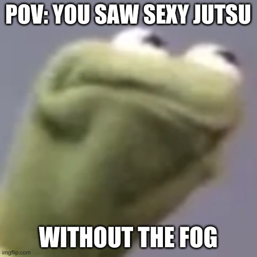 Hmmm kermit | POV: YOU SAW SEXY JUTSU WITHOUT THE FOG | image tagged in hmmm kermit | made w/ Imgflip meme maker