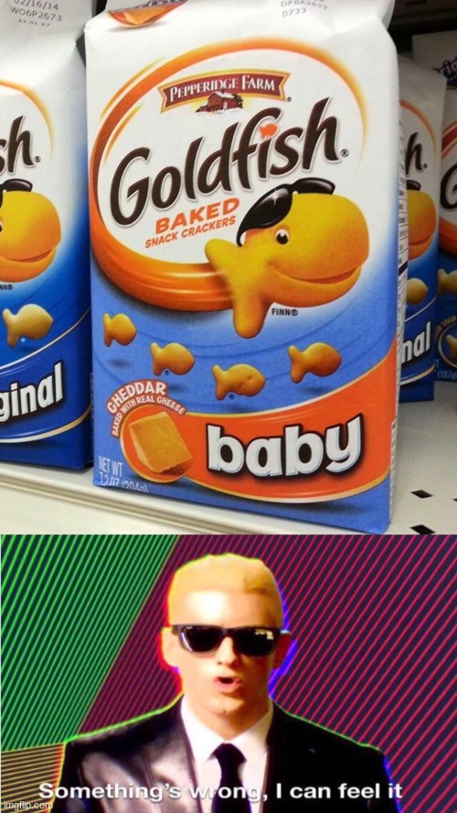 excuse me what!?!? | image tagged in something s wrong,goldfish | made w/ Imgflip meme maker