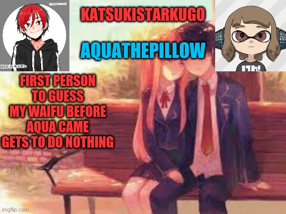 KatsukiStarkugoXAquathepillow | FIRST PERSON TO GUESS MY WAIFU BEFORE AQUA CAME GETS TO DO NOTHING | image tagged in katsukistarkugoxaquathepillow | made w/ Imgflip meme maker