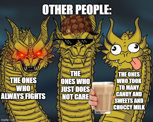 Three-headed Dragon | OTHER PEOPLE:; THE ONES WHO JUST DOES NOT CARE; THE ONES WHO TOOK TO MANY CANDY AND SWEETS AND CHOCCY MILK; THE ONES WHO ALWAYS FIGHTS | image tagged in three-headed dragon | made w/ Imgflip meme maker