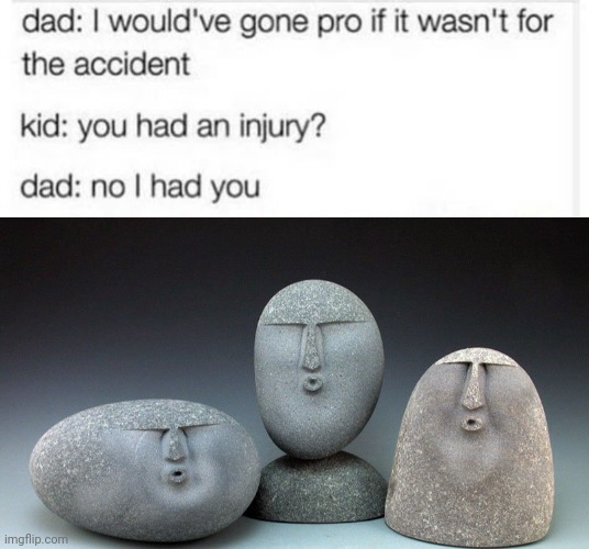 Oof. | image tagged in oof stones,rareinsults,dad,kids,accident | made w/ Imgflip meme maker