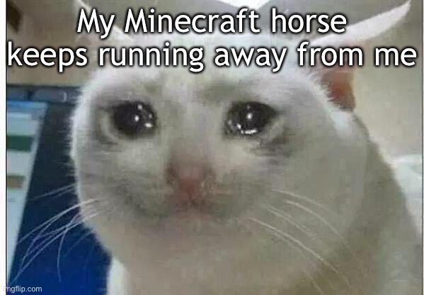 And I keep having to drag it out of holes | My Minecraft horse keeps running away from me | image tagged in crying cat | made w/ Imgflip meme maker