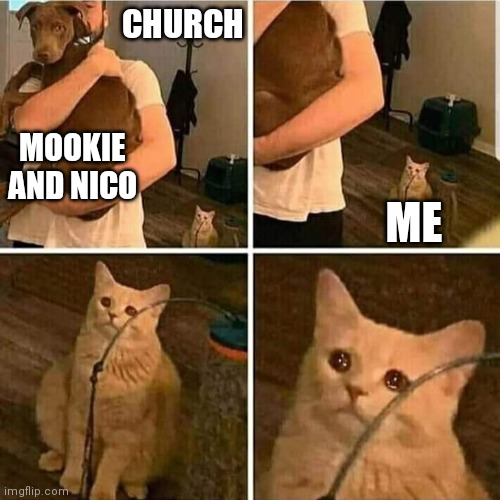 Hello | CHURCH; MOOKIE AND NICO; ME | image tagged in sad cat holding dog | made w/ Imgflip meme maker