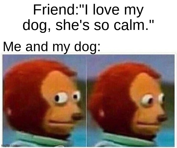 Monkey Puppet Meme | Friend:"I love my dog, she's so calm." Me and my dog: | image tagged in memes,monkey puppet | made w/ Imgflip meme maker