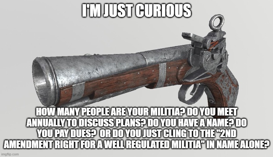 musket | I'M JUST CURIOUS; HOW MANY PEOPLE ARE YOUR MILITIA? DO YOU MEET ANNUALLY TO DISCUSS PLANS? DO YOU HAVE A NAME? DO YOU PAY DUES?  OR DO YOU JUST CLING TO THE "2ND AMENDMENT RIGHT FOR A WELL REGULATED MILITIA" IN NAME ALONE? | image tagged in musket | made w/ Imgflip meme maker