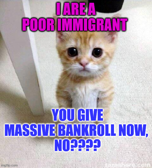 Cute Cat Meme | I ARE A POOR IMMIGRANT; YOU GIVE MASSIVE BANKROLL NOW, 
NO???? | image tagged in memes,cute cat | made w/ Imgflip meme maker