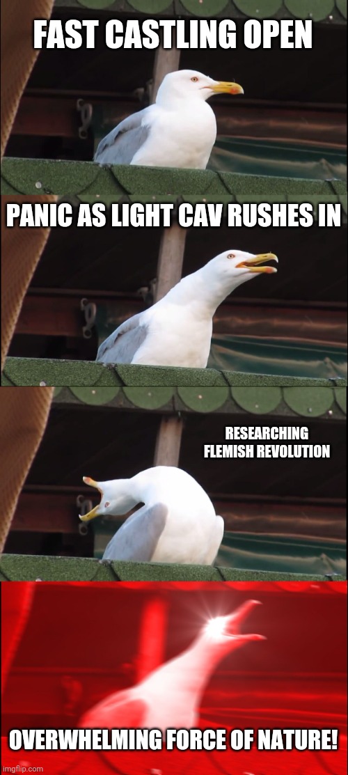 Inhaling Seagull Meme | FAST CASTLING OPEN; PANIC AS LIGHT CAV RUSHES IN; RESEARCHING FLEMISH REVOLUTION; OVERWHELMING FORCE OF NATURE! | image tagged in memes,inhaling seagull | made w/ Imgflip meme maker