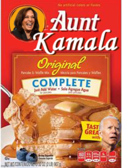 If Aunt Jemima is a racist stereotype, then why not pick a better one? | image tagged in kamala harris,politics,aunt jemima,dumb | made w/ Imgflip meme maker