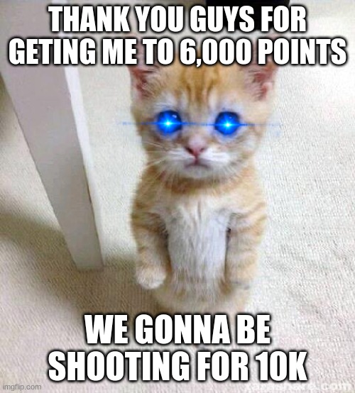 Cute Cat | THANK YOU GUYS FOR GETING ME TO 6,000 POINTS; WE GONNA BE SHOOTING FOR 10K | image tagged in memes,cute cat | made w/ Imgflip meme maker