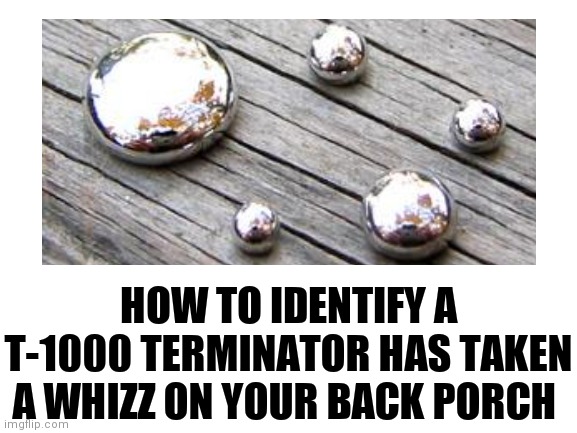 Terminator 2 is 30 years old this year! | HOW TO IDENTIFY A T-1000 TERMINATOR HAS TAKEN A WHIZZ ON YOUR BACK PORCH | image tagged in terminator 2,leaks | made w/ Imgflip meme maker