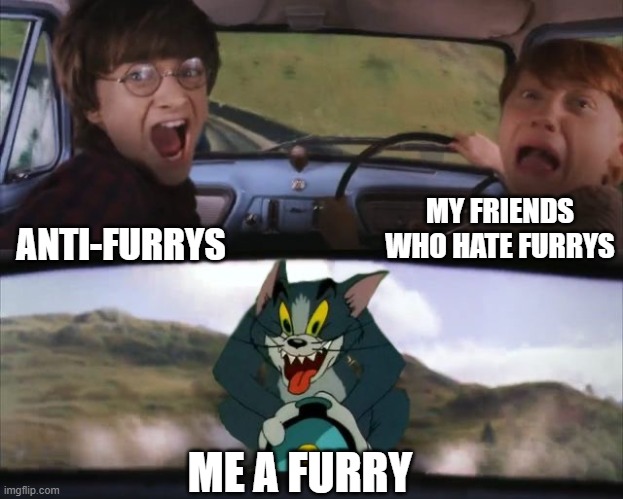 Tom chasing Harry and Ron Weasly | MY FRIENDS WHO HATE FURRYS; ANTI-FURRYS; ME A FURRY | image tagged in tom chasing harry and ron weasly | made w/ Imgflip meme maker