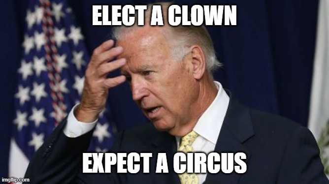Joe Biden worries | ELECT A CLOWN; EXPECT A CIRCUS | image tagged in joe biden worries | made w/ Imgflip meme maker