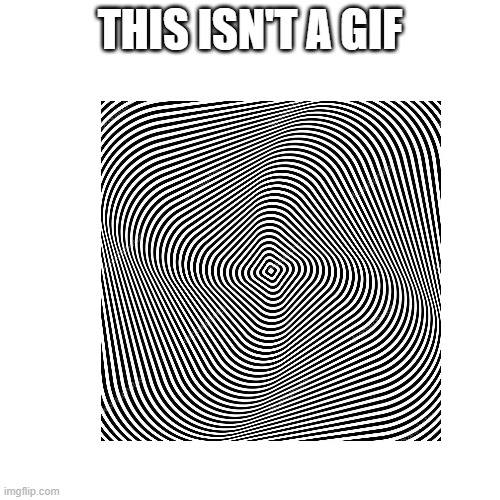 This not a gif | THIS ISN'T A GIF | image tagged in memes,blank transparent square | made w/ Imgflip meme maker