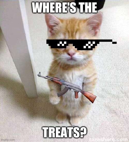 Treats Now! | WHERE'S THE; TREATS? | image tagged in memes,cute cat,cute,funny | made w/ Imgflip meme maker