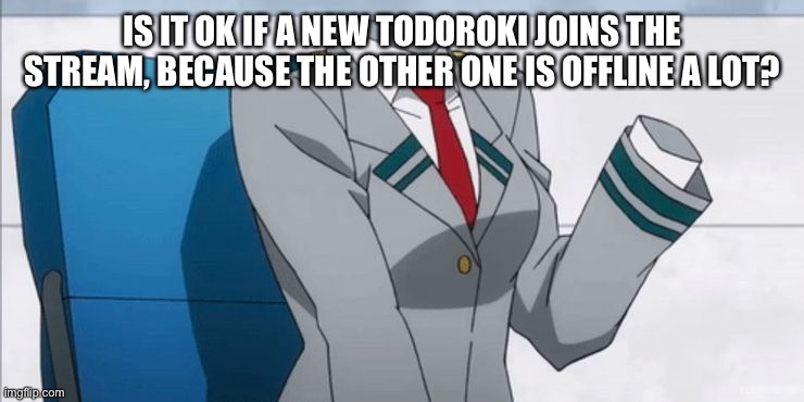 Invisible gurl | IS IT OK IF A NEW TODOROKI JOINS THE STREAM, BECAUSE THE OTHER ONE IS OFFLINE A LOT? | image tagged in invisible gurl | made w/ Imgflip meme maker