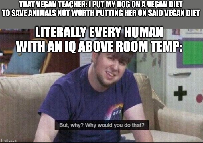 But why why would you do that? |  THAT VEGAN TEACHER: I PUT MY DOG ON A VEGAN DIET TO SAVE ANIMALS NOT WORTH PUTTING HER ON SAID VEGAN DIET; LITERALLY EVERY HUMAN WITH AN IQ ABOVE ROOM TEMP: | image tagged in but why why would you do that | made w/ Imgflip meme maker
