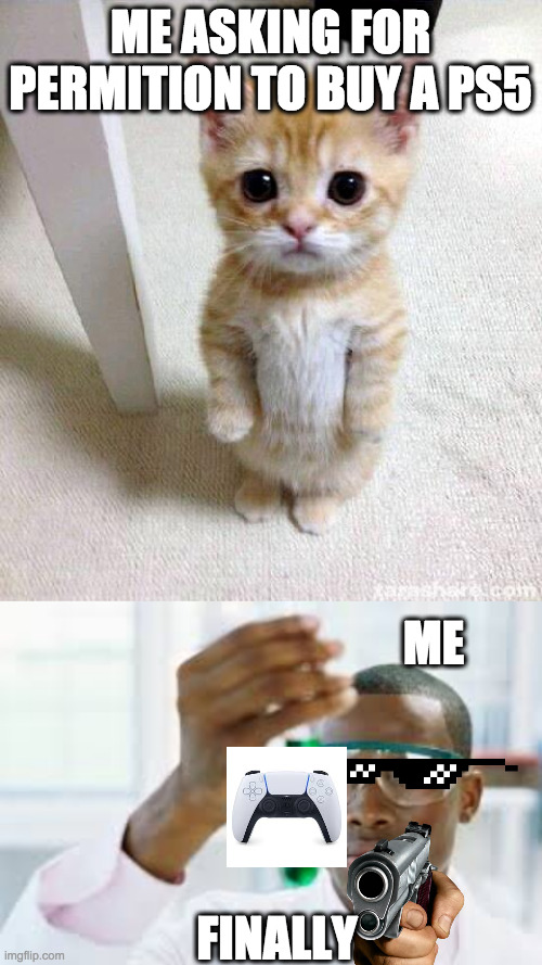 ME ASKING FOR PERMITION TO BUY A PS5; ME; FINALLY | image tagged in memes,cute cat,finally | made w/ Imgflip meme maker