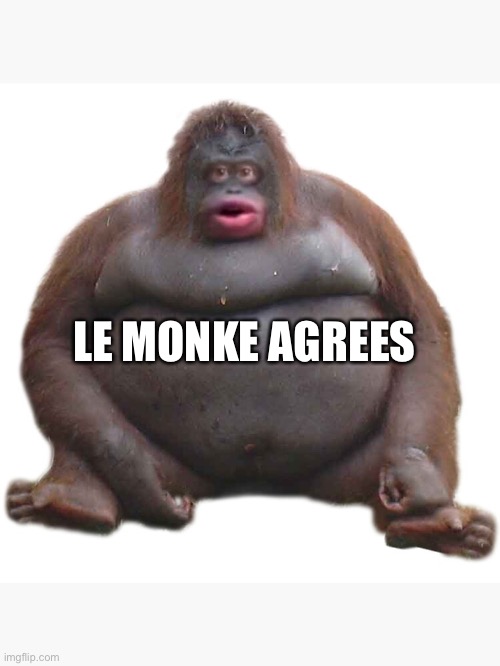 LE MONKE AGREES | made w/ Imgflip meme maker