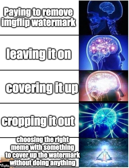 and i still didn't cover it up myself. | Paying to remove imgflip watermark; leaving it on; covering it up; cropping it out; choosing the right meme with something to cover up the watermark without doing anything | image tagged in expanding brain 5 panel,imgflip water mark,memes,imgflip | made w/ Imgflip meme maker
