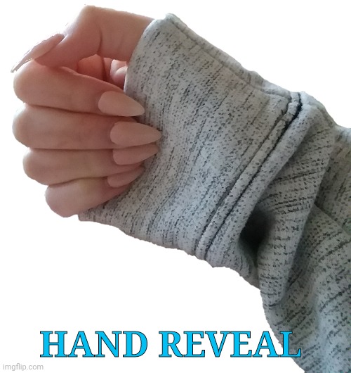 Hand reveal | HAND REVEAL | image tagged in face reveal,hand | made w/ Imgflip meme maker