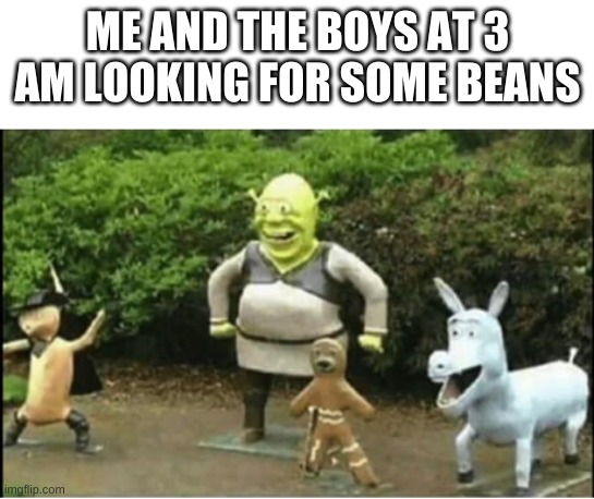 lmao | ME AND THE BOYS AT 3 AM LOOKING FOR SOME BEANS | image tagged in memes,funny,shrek,wtf,cursed image,me and the boys at 3 am | made w/ Imgflip meme maker