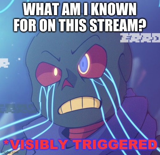 other than almost ruining my imgflip life in less than 15 minutes | WHAT AM I KNOWN FOR ON THIS STREAM? | image tagged in error sans visibly triggered | made w/ Imgflip meme maker