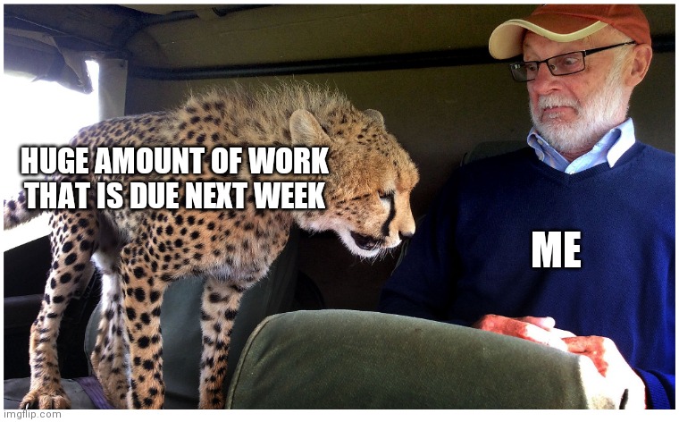 Scary | HUGE AMOUNT OF WORK THAT IS DUE NEXT WEEK; ME | image tagged in cat,cheetah,work,homework | made w/ Imgflip meme maker