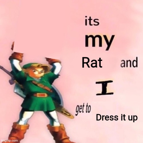 It's my ___ and I get to ____. | Rat Dress it up | image tagged in it's my ___ and i get to ____ | made w/ Imgflip meme maker