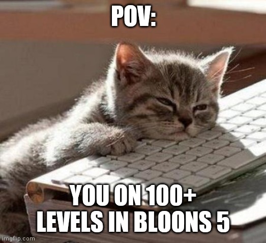 tired cat | POV:; YOU ON 100+ LEVELS IN BLOONS 5 | image tagged in tired cat | made w/ Imgflip meme maker