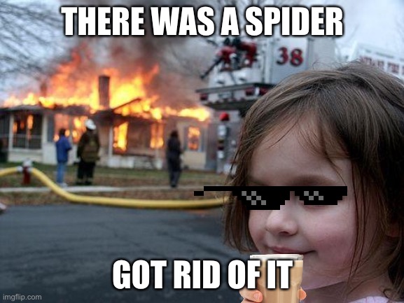 Spider go bye bye | THERE WAS A SPIDER; GOT RID OF IT | image tagged in memes,disaster girl | made w/ Imgflip meme maker
