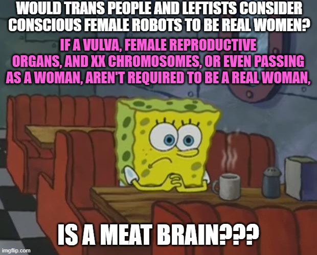 What is a woman? | WOULD TRANS PEOPLE AND LEFTISTS CONSIDER CONSCIOUS FEMALE ROBOTS TO BE REAL WOMEN? IF A VULVA, FEMALE REPRODUCTIVE ORGANS, AND XX CHROMOSOMES, OR EVEN PASSING AS A WOMAN, AREN'T REQUIRED TO BE A REAL WOMAN, IS A MEAT BRAIN??? | image tagged in spongebob waiting,memes,transgender,woman,robots,question | made w/ Imgflip meme maker