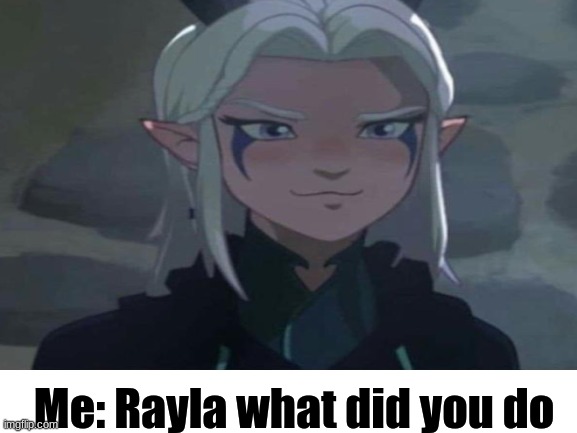 Suspicious rayla | Me: Rayla what did you do | image tagged in suspicious | made w/ Imgflip meme maker