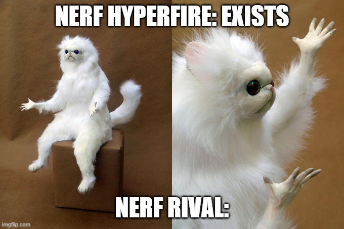 Persian Cat Room Guardian | NERF HYPERFIRE: EXISTS; NERF RIVAL: | image tagged in memes,persian cat room guardian,nerf,nerf rival | made w/ Imgflip meme maker