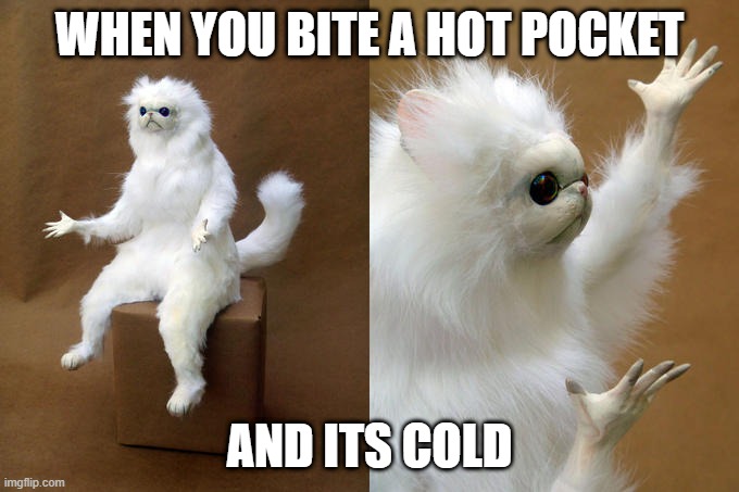 Persian Cat Room Guardian | WHEN YOU BITE A HOT POCKET; AND ITS COLD | image tagged in memes,persian cat room guardian,wtf | made w/ Imgflip meme maker