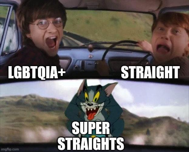 Just when you thought we were done with homophobia | STRAIGHT; LGBTQIA+; SUPER STRAIGHTS | image tagged in tom chasing harry and ron weasly | made w/ Imgflip meme maker