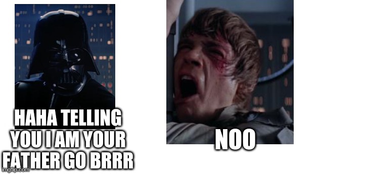 Haha telling you I am your father go brrr nooo | HAHA TELLING YOU I AM YOUR FATHER GO BRRR; NOO | image tagged in nooo haha go brrr,darth vader luke skywalker | made w/ Imgflip meme maker