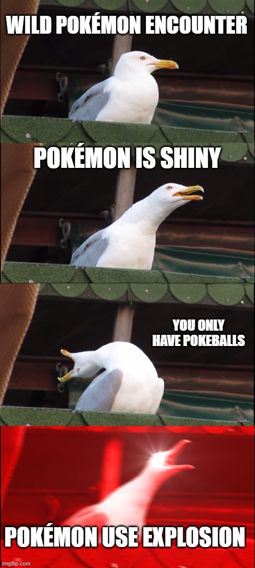 When you luck runs out... | WILD POKÉMON ENCOUNTER; POKÉMON IS SHINY; YOU ONLY HAVE POKEBALLS; POKÉMON USE EXPLOSION | image tagged in memes,inhaling seagull | made w/ Imgflip meme maker