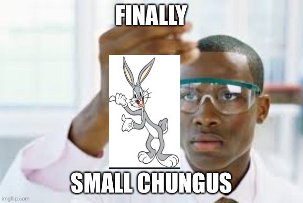 FINALLY | FINALLY; SMALL CHUNGUS | image tagged in finally | made w/ Imgflip meme maker