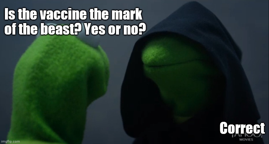 Catch 22 | Is the vaccine the mark of the beast? Yes or no? Correct | image tagged in corona,vaccine,virus,kermit the frog | made w/ Imgflip meme maker